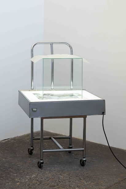 (A Step) Out Of Me  - a Sculpture & Installation Artowrk by Cristina  Gozzini